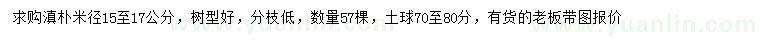 求購米徑15-17公分滇樸