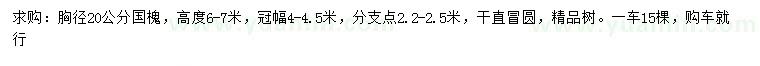 求購(gòu)胸徑20公分國(guó)槐