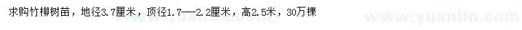 求購地徑3.7公分柳樹苗