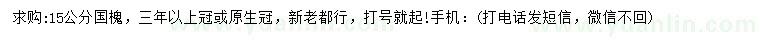 求購15公分國槐