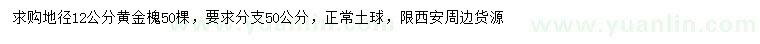 求購地徑12公分黃金槐