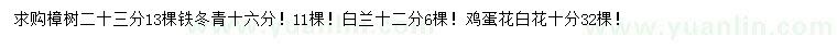 求購樟樹、鐵冬青、白蘭等