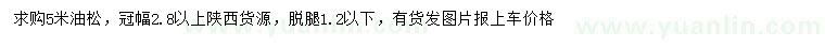 求購(gòu)5米油松