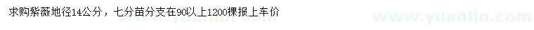 求購(gòu)地徑14公分紫薇
