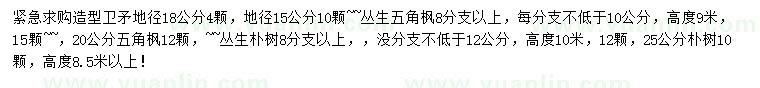 求購造型衛(wèi)矛、叢生五角楓、樸樹