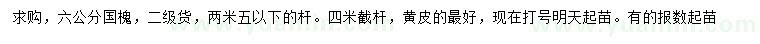求購6公分國槐