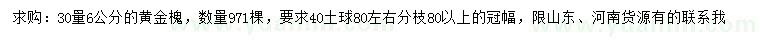 求購30公分量6公分黃金槐