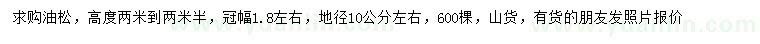 求購地徑10公分左右油松