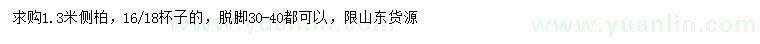 求購1.3米側(cè)柏