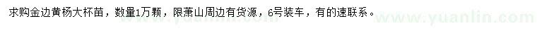 求購金邊黃楊