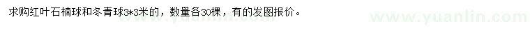 求購(gòu)紅葉石楠球、冬青球