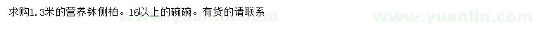 求購1.3米側(cè)柏