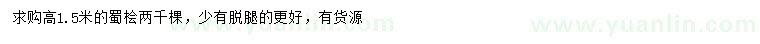 求購高1.5米蜀檜