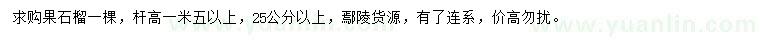 求購(gòu)25公分以上果石榴