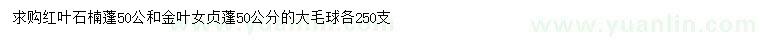 求購蓬50公分紅葉石楠、金葉女貞