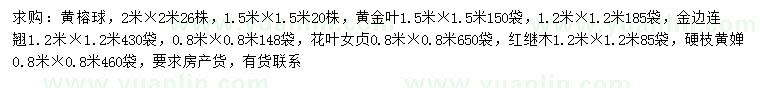 求購(gòu)黃榕球、黃金葉、金邊連翹等