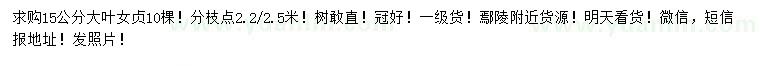 求購(gòu)15公分大葉女貞