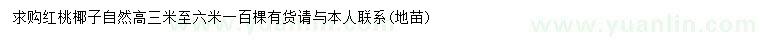 求購高3-6米紅桃椰子
