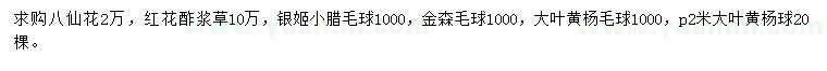 求購(gòu)八仙花、紅花酢漿草、銀姬小臘毛球等