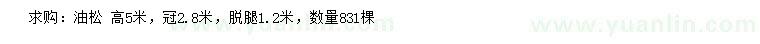 求購高5米油松