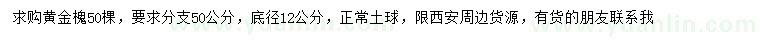 求購(gòu)底徑12公分黃金槐