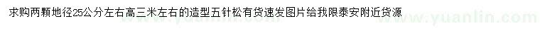 求購地徑25公分左右造型五針?biāo)? />
                        <br />
                        <label style=