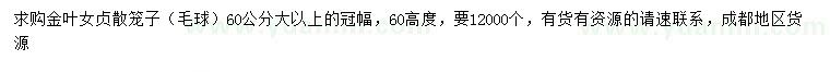 求購高60公分金葉女貞散籠子（毛球）
