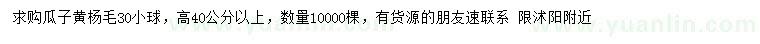 求購高40公分以上瓜子黃楊