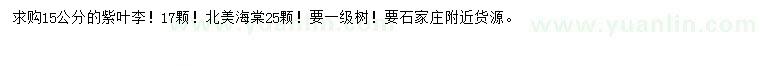 求購15公分紫葉李