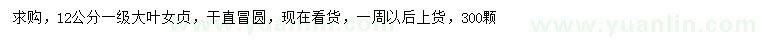 求購12公分大葉女貞