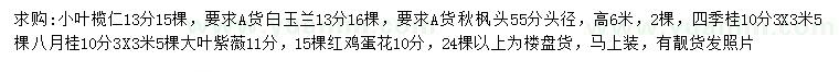 求購小葉欖仁、白玉蘭、秋楓等