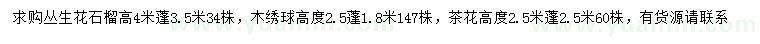 求購叢生花石榴、木繡球、茶花