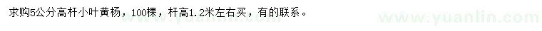 求購5公分高桿小葉黃楊