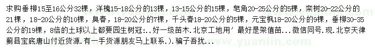 求購垂柳、洋槐、皂角等