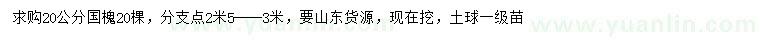 求購20公分國槐