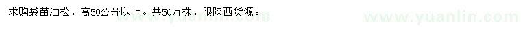 求購高50公分以上油松