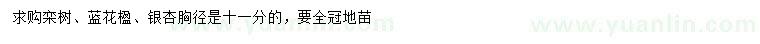 求購欒樹、藍(lán)花楹、銀杏