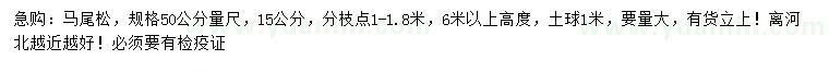 求購50公分量15公分馬尾松