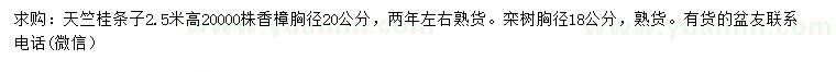求購(gòu)天竺桂條子、香樟、欒樹(shù)