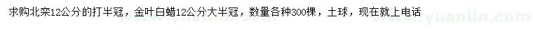 求購12公分北欒、金葉白蠟
