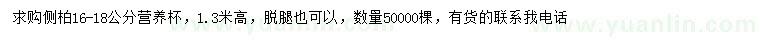 求購(gòu)高1.3米側(cè)柏