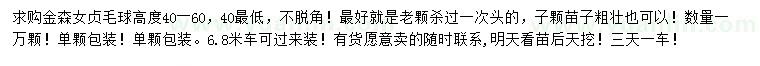 求購高40-60公分金森女貞毛球