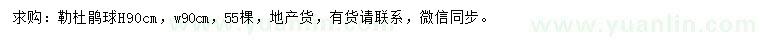 求購高90公分勒杜鵑球