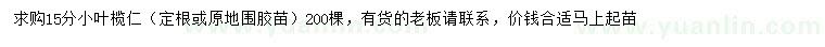 求購15公分小葉欖仁