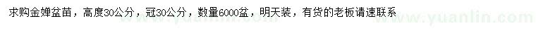 求購高30公分金嬋