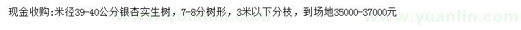 求購米徑39-40公分銀杏
