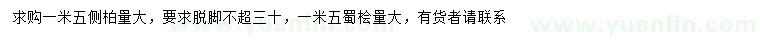 求購(gòu)1.5米側(cè)柏、蜀檜