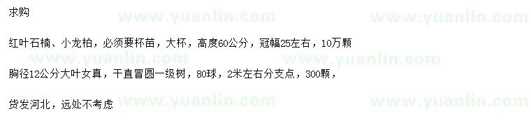 求購紅葉石楠、小龍柏、大葉女貞