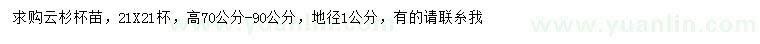求購高70-90公分云杉