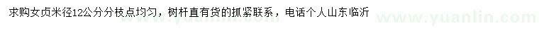 求購(gòu)米徑12公分女貞